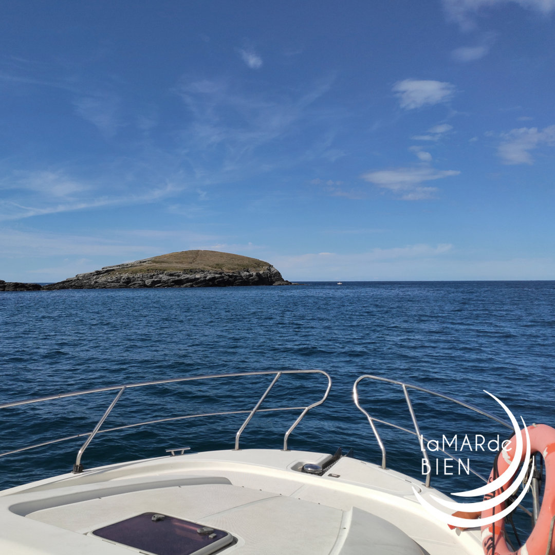 Paseos en barco en Bizkaia